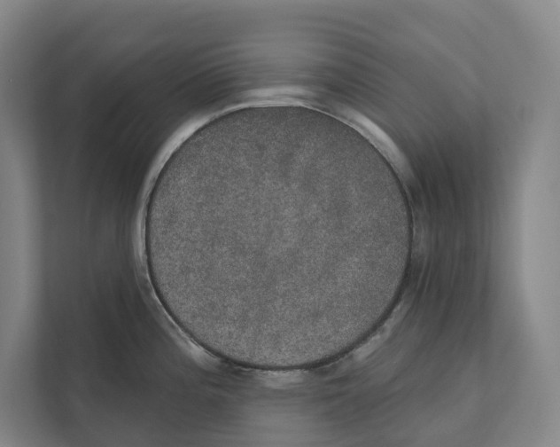 X0000111441196200908101008