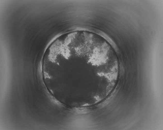 X0000111441198200908101008