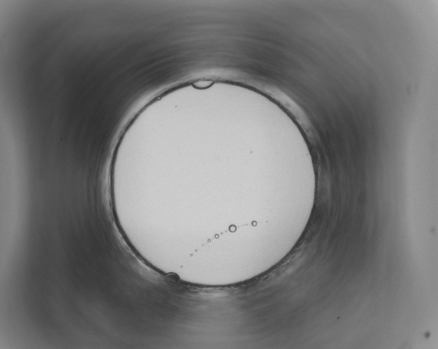 X0000111441199200908101008