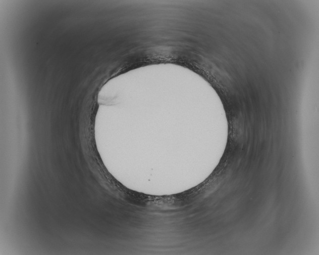 X0000111441201200908101008