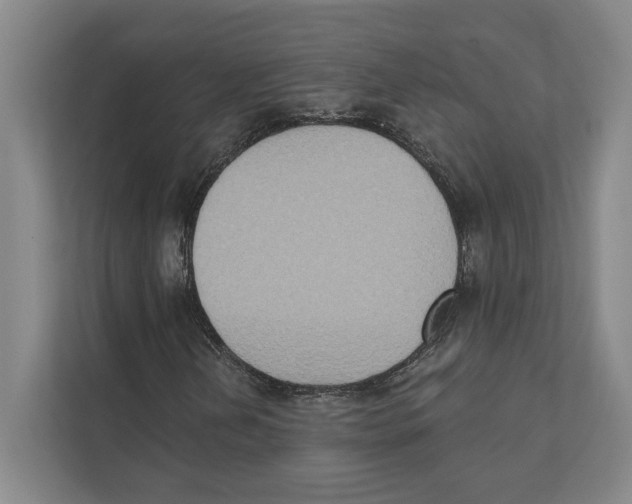 X0000111441202200908101008