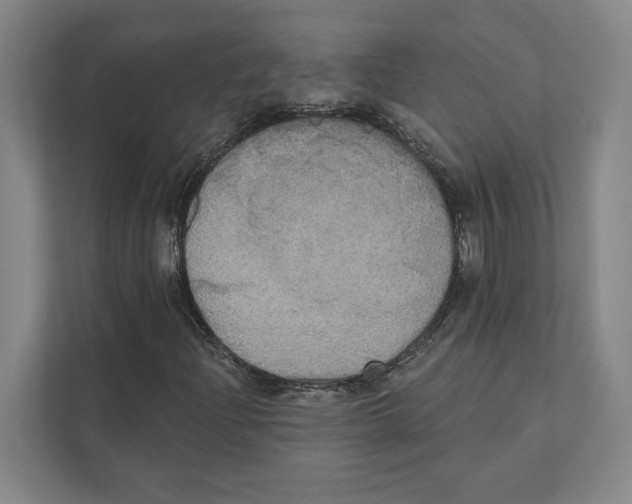 X0000111441204200908101008