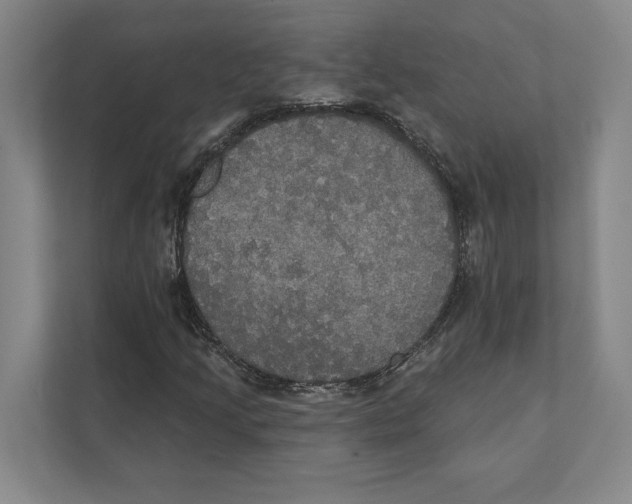 X0000111441205200908101008