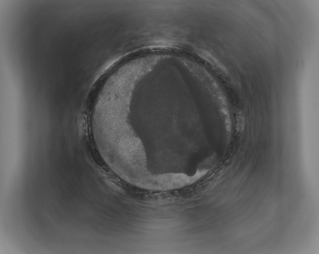 X0000111441208200908101008