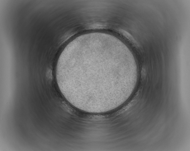 X0000111441209200908101008