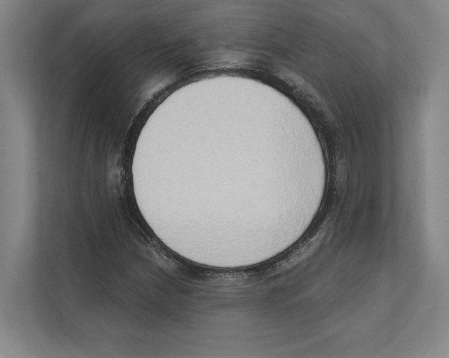 X0000111441210200908101008