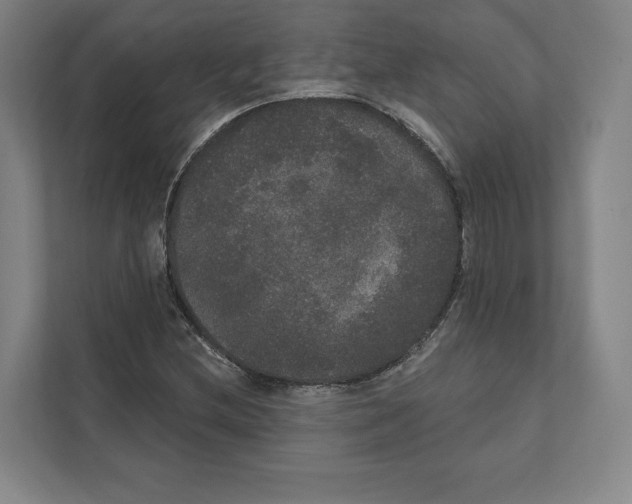 X0000111441212200908101008