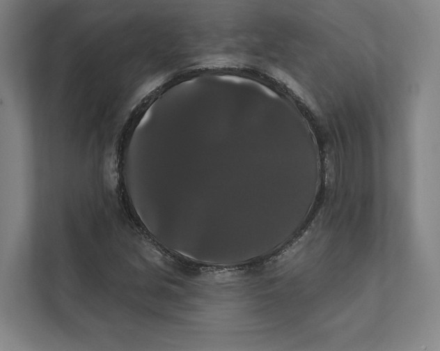 X0000111441213200908101008