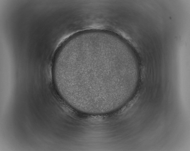 X0000111441214200908101008