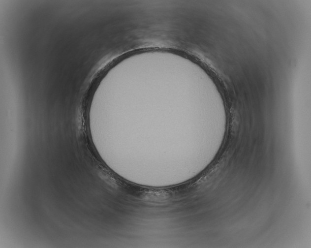 X0000111441215200908101008