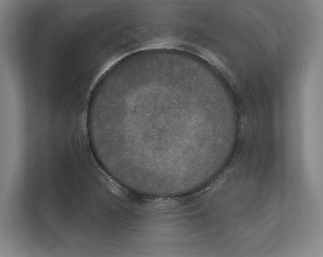 X0000111441216200908101008