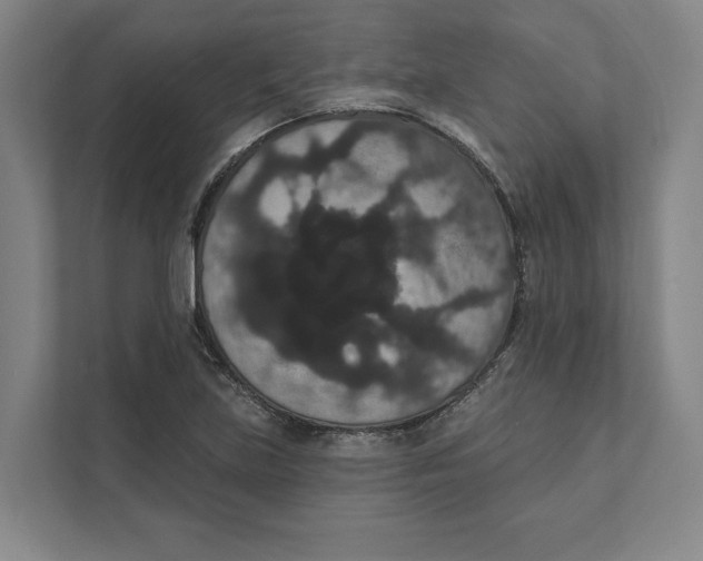 X0000111441219200908101008