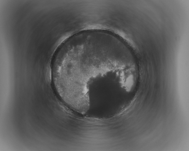 X0000111441221200908101008