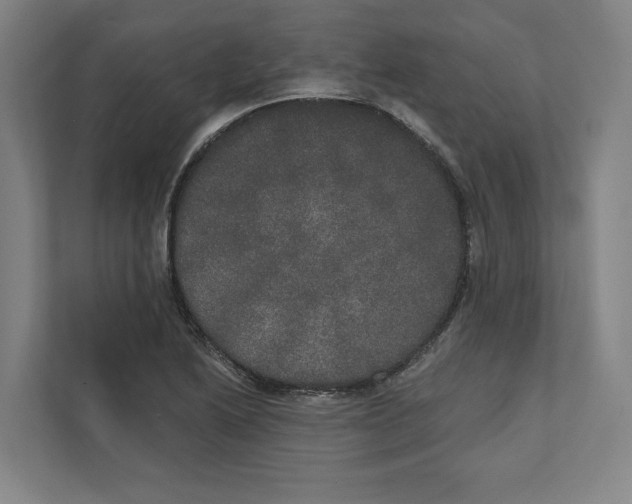 X0000111441222200908101008