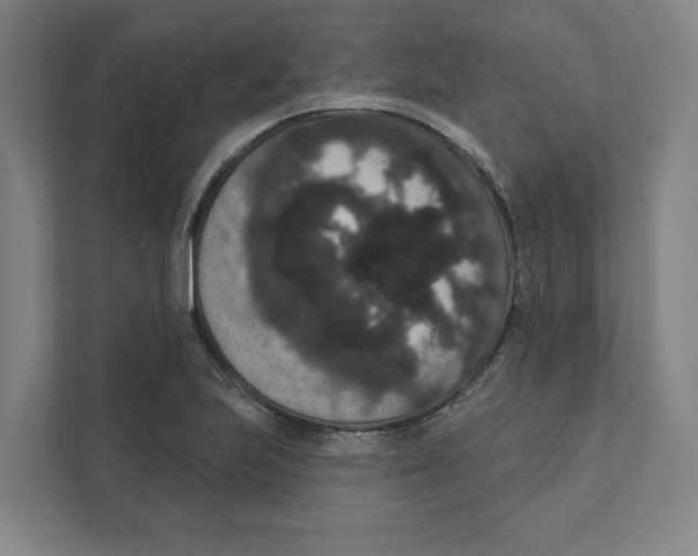 X0000111441223200908101008