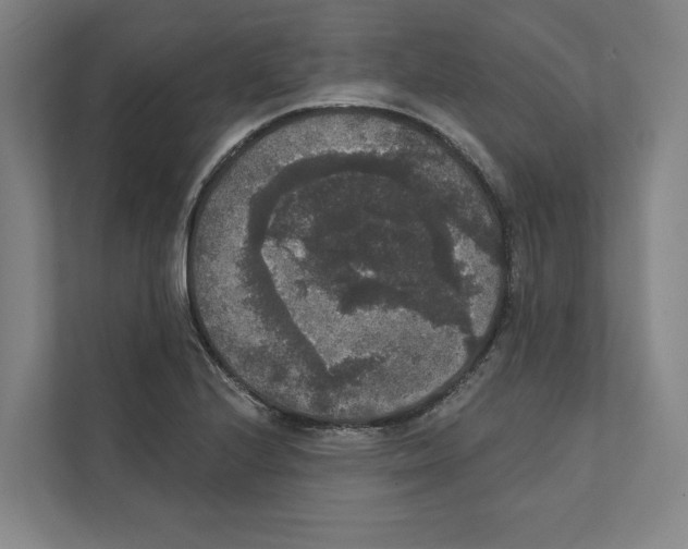 X0000111441224200908101008