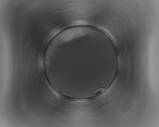 X0000111441225200908101008