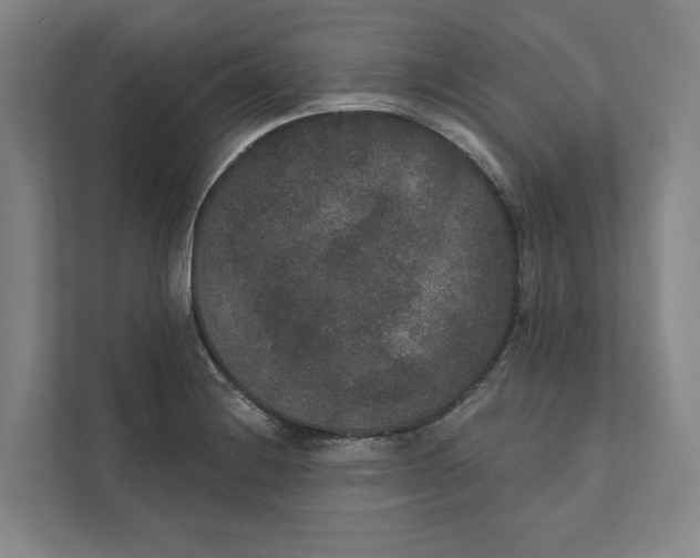 X0000111441228200908101008