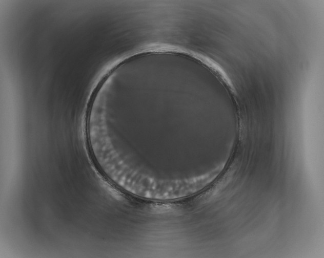 X0000111441231200908101008