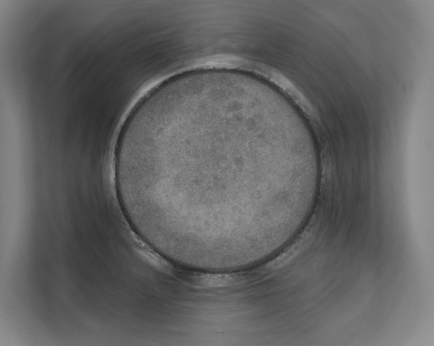 X0000111441232200908101008