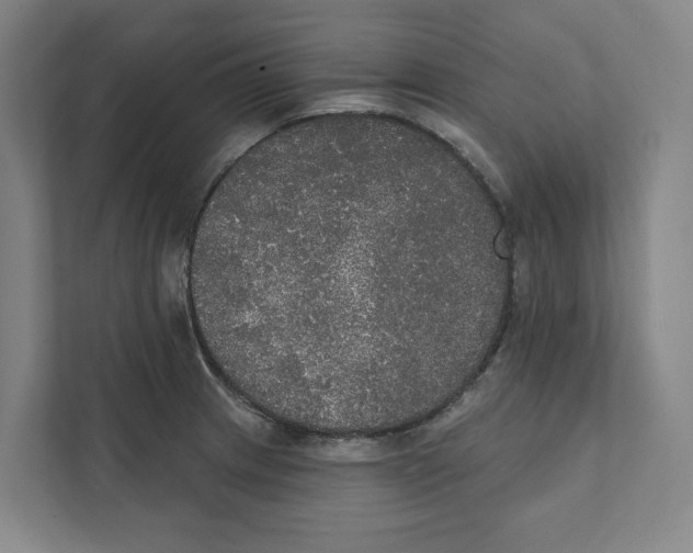 X0000111441233200908101008