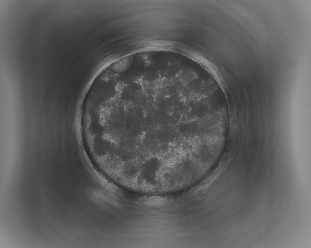 X0000111441235200908101008