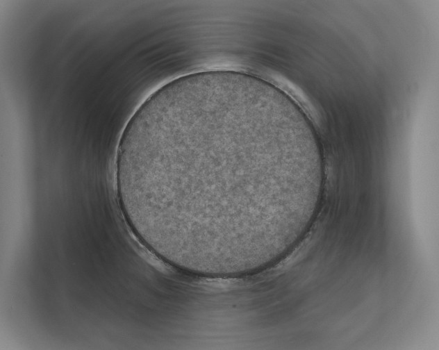 X0000111441236200908101008