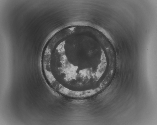 X0000111441237200908101008