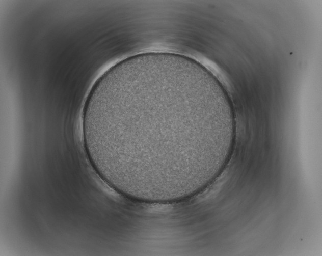 X0000111441238200908101008