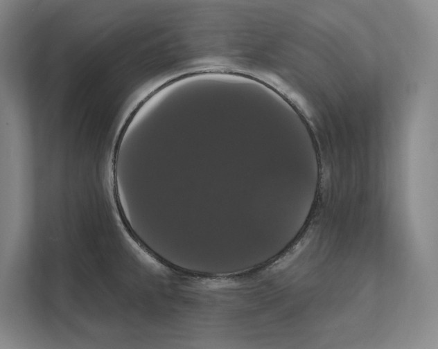 X0000111441239200908101008