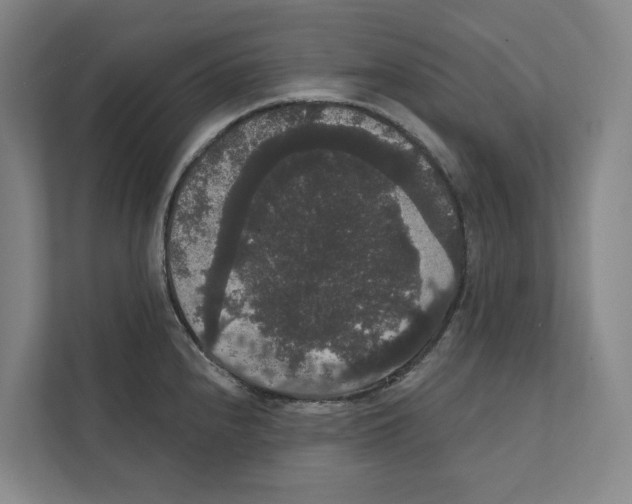 X0000111441240200908101008