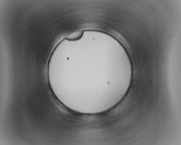 X0000111441242200908101008