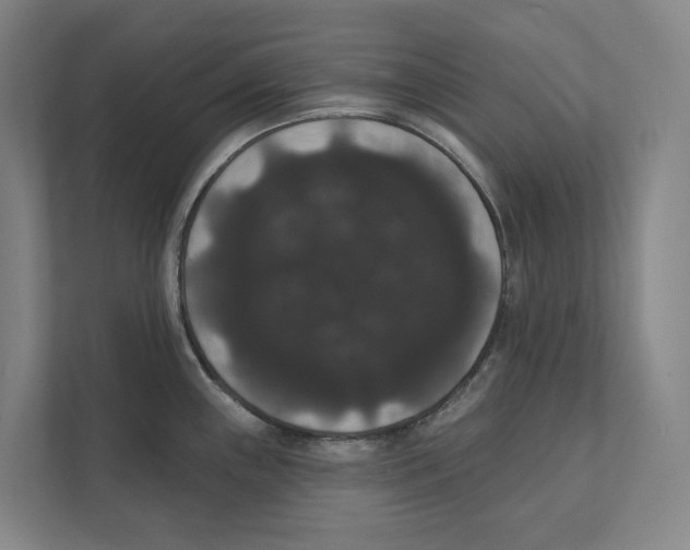 X0000111441243200908101008