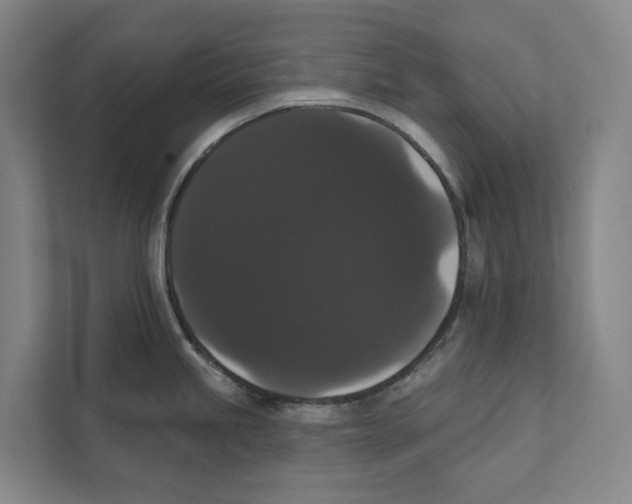 X0000111441245200908101008