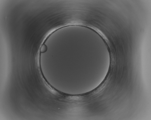 X0000111441246200908101008