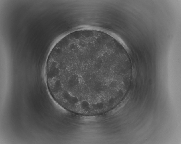 X0000111441247200908101008