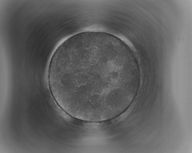 X0000111441248200908101008