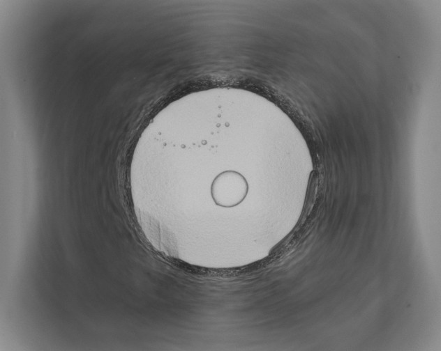 X0000111441249200908101008