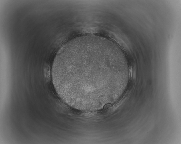 X0000111441251200908101007