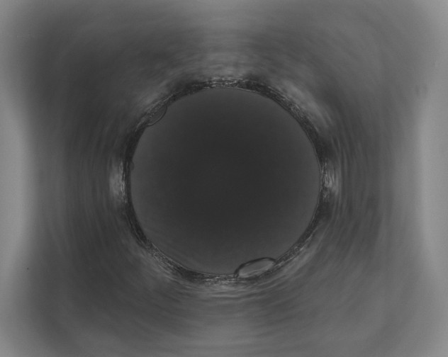 X0000111441252200908101007