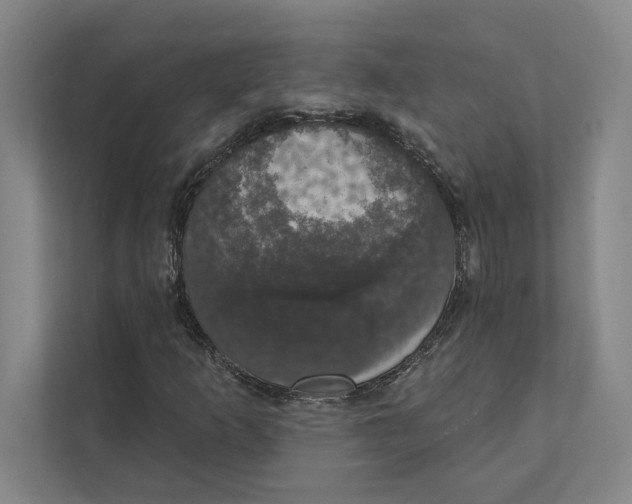 X0000111441253200908101007