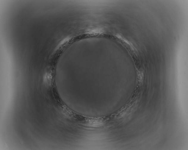 X0000111441254200908101007