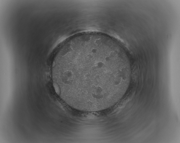 X0000111441255200908101007