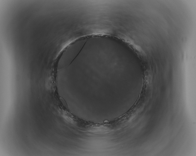 X0000111441256200908101007