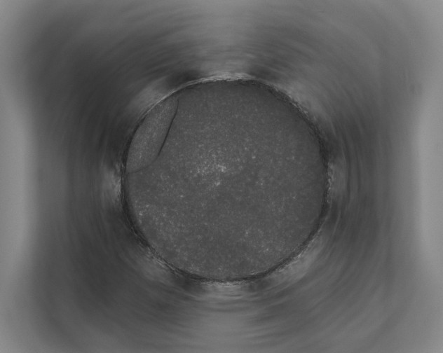 X0000111441257200908101007