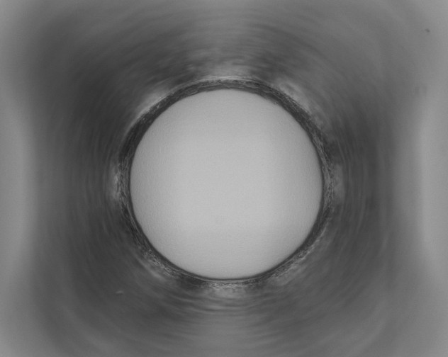 X0000111441258200908101007