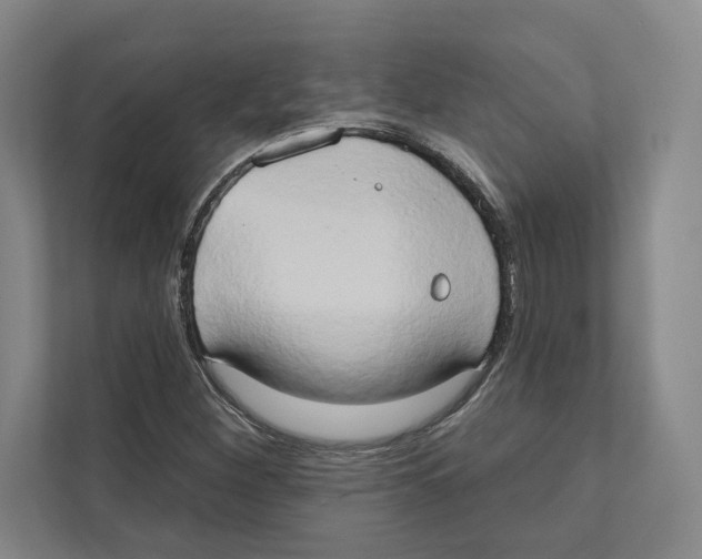 X0000111441260200908101007