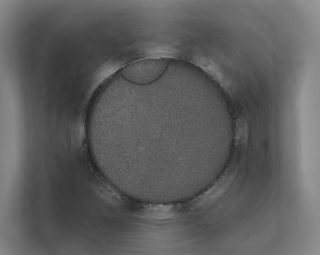 X0000111441261200908101007