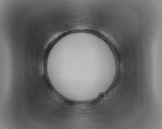 X0000111441262200908101007