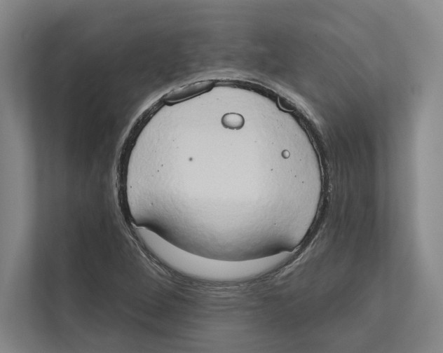 X0000111441264200908101007